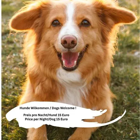 شقة Ferienwohnung Niederthalheim